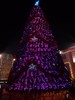 2021-11-26 to 2021-12-01 Disney Springs and Universal 154